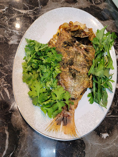 عکسی از دستور ماهی شکم پر جنوبی