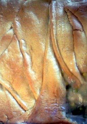 A picture of turkey pot pie.