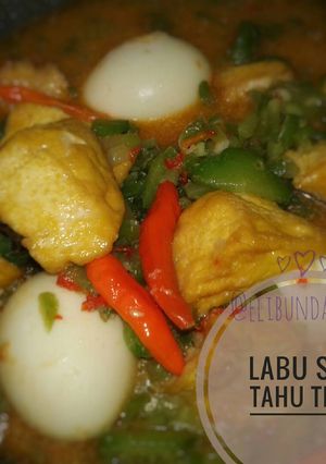 Foto resep Sayur labu siam tahu telor
