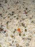 Choliya pulao #cookpadapp