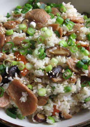 A picture of Vegan Soy Meat Mazegohan.