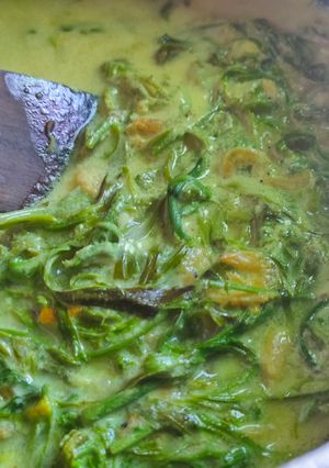 Foto resep #29 Sayur lemak pakis