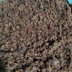 รูปของ Abon lele tanpa goreng minyak