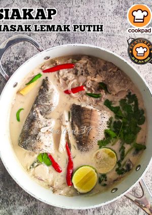 Gambar Siakap Masak Lemak Putih