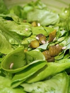 Una foto de Ensalada de lechuga, pepinillos y semillas de maravilla