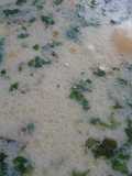 Pizca andina
