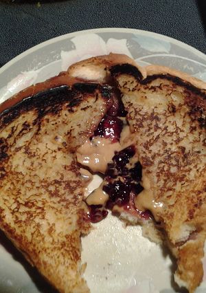 A picture of grilled peanut butter and jelly sandwich.