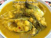 Gambar ikan patin kunyit