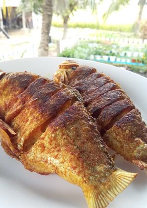 Gambar Ikan Talapia Goreng