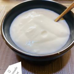 Homemade Yogurt (in a multifunctional cooker) A picture of Homemade Yogurt (in a multifunctional cooker).