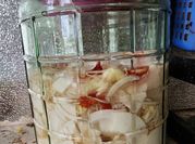 Hình ảnh của măng tre