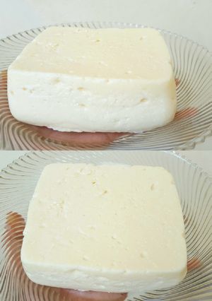 Foto resep Keju mozarella kw