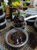 Kek Coklat Moist Mini