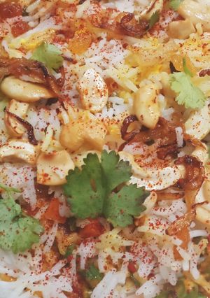 A picture of Veg Biryani.