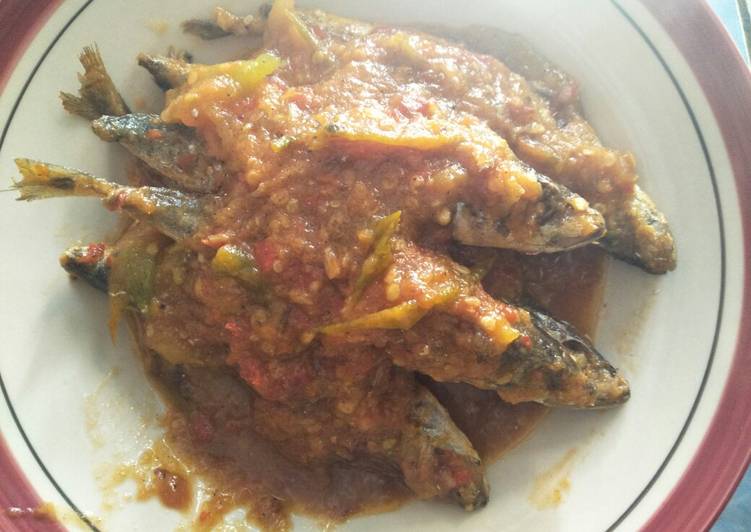 Cara Gampang mengolah Ikan Salem Sambel Tomat, Bisa Manjain Lidah