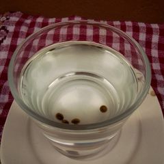 A picture of Papaya Seeds Tea.