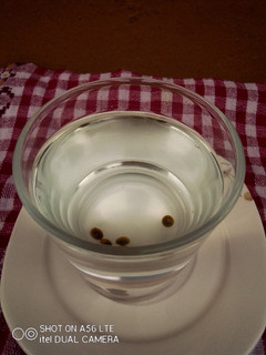 A picture of Papaya Seeds Tea.