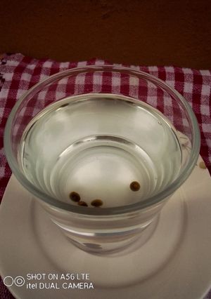 A picture of Papaya Seeds Tea.
