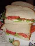 Classic tomato 🍅 sandwich