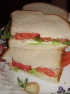 A picture of Classic tomato 🍅 sandwich.