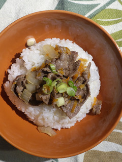 A picture of Gyūdon (Japanese Beef Bowl).
