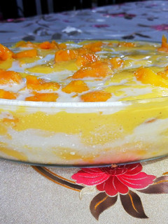 A picture of Mango float.