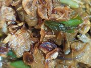 Gambar gembus kecap