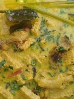 Foto resep Ayam + Tempe masak kuning