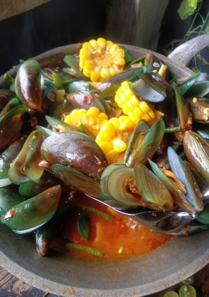 Foto resep Kerang hijau saus Padang