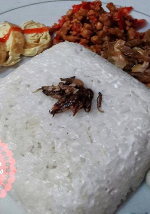 Foto resep Nasi Gurih Medan