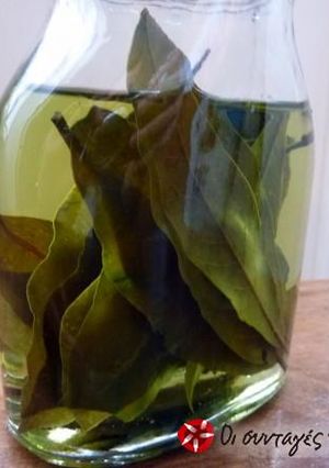 A picture of Liqueur from bay leaves.