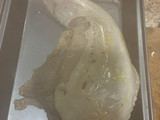 Lengua de vacuno 😋