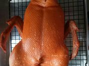 Gambar bebek peking
