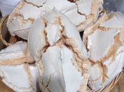 Une photo de meringue avec sucre glace