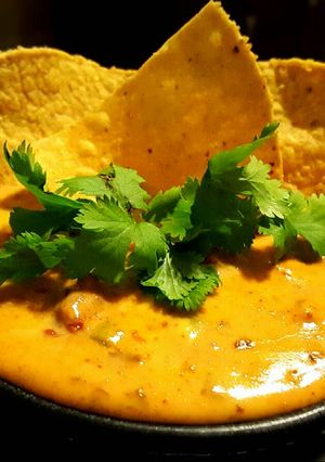 A picture of Mike's Southwestern Queso Dip.