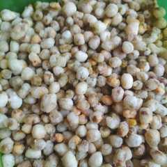 รูปของ Kacang Hijau Goreng Crispy
