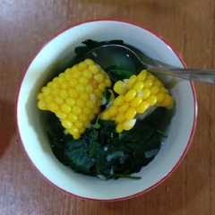 Sayur daun katuk mantap রেসিপির প্রধান ছবি
