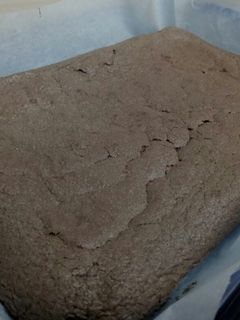 Una foto de Brownie