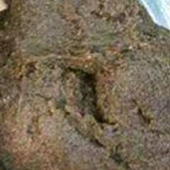 A picture of Brown Ugali.