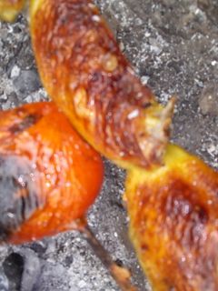 عکسی از دستور جوجه کباب خانوادگی