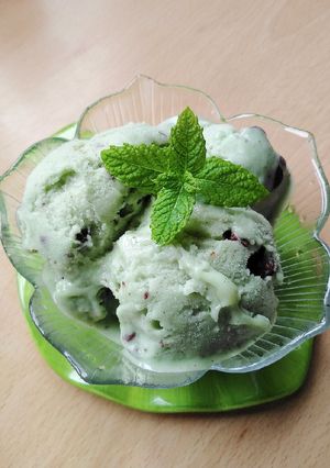 A picture of Vickys Fresh Mint Ice Cream, GF DF EF SF NF Vegan.
