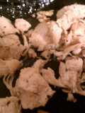 Italian dressing chicken
