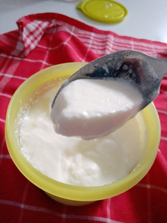 Foto resep Homemade Yoghurt