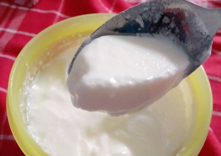 Homemade Yoghurt