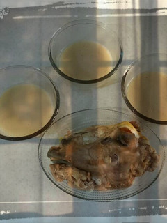 عکسی از دستور کله پاچه خانگی خوشمزه