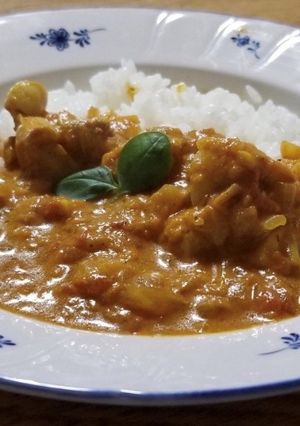 A picture of Chicken Curry Fiji-style.