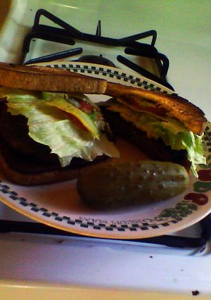 A picture of Good Burger Sandwich.