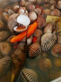 Foto resep Kerang masak kuah