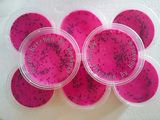Rosania - Puding Buah Naga