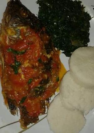 A picture of Tbt2 wet fry fish.